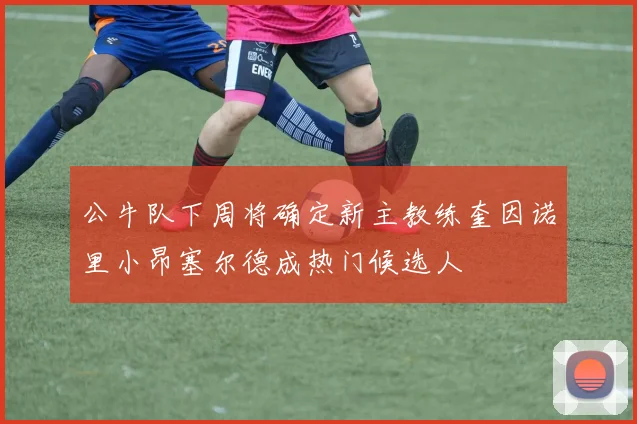 公牛队下周将确定新主教练奎因诺里小昂塞尔德成热门候选人
